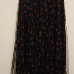 החצאית הכי יפה שראיתי